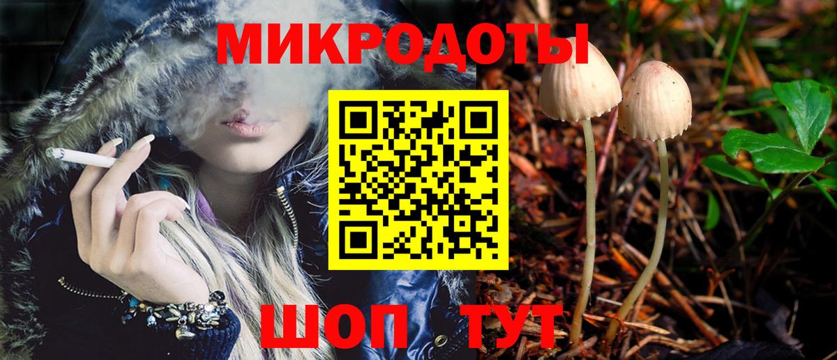 Псилоцибиновые грибы Psilocybine cubensis Губаха