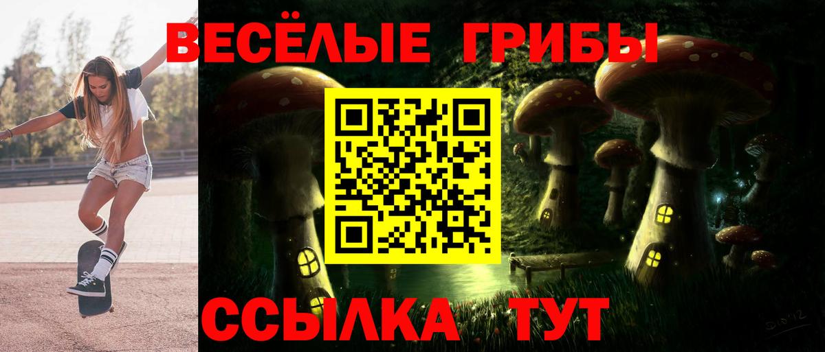 Псилоцибиновые грибы мицелий  Псилоцибиновые грибы мицелий  Вход с VPN  Губаха 